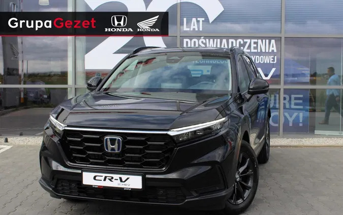 honda Honda CR-V cena 232900 przebieg: 5, rok produkcji 2024 z Dobra